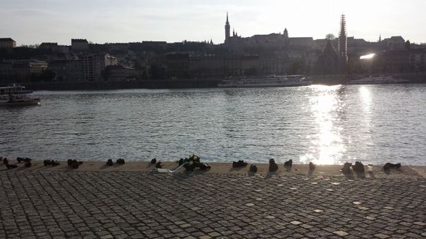 cosa-vedere-a-budapest-scarpe-danubio-1