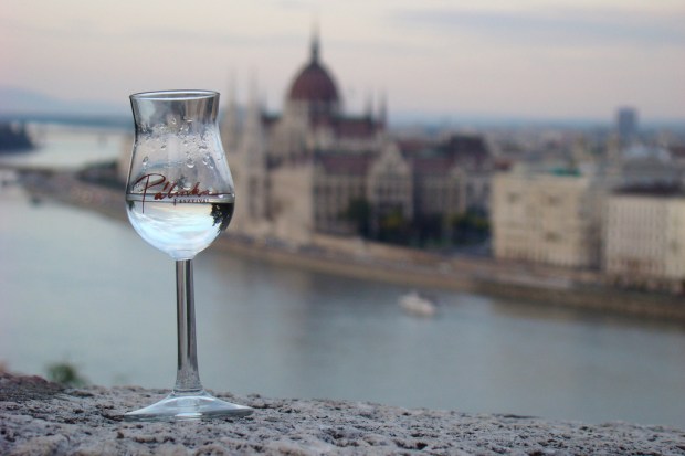 abc ungheria palinka