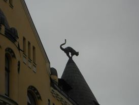 cosa vedere riga casa gatto