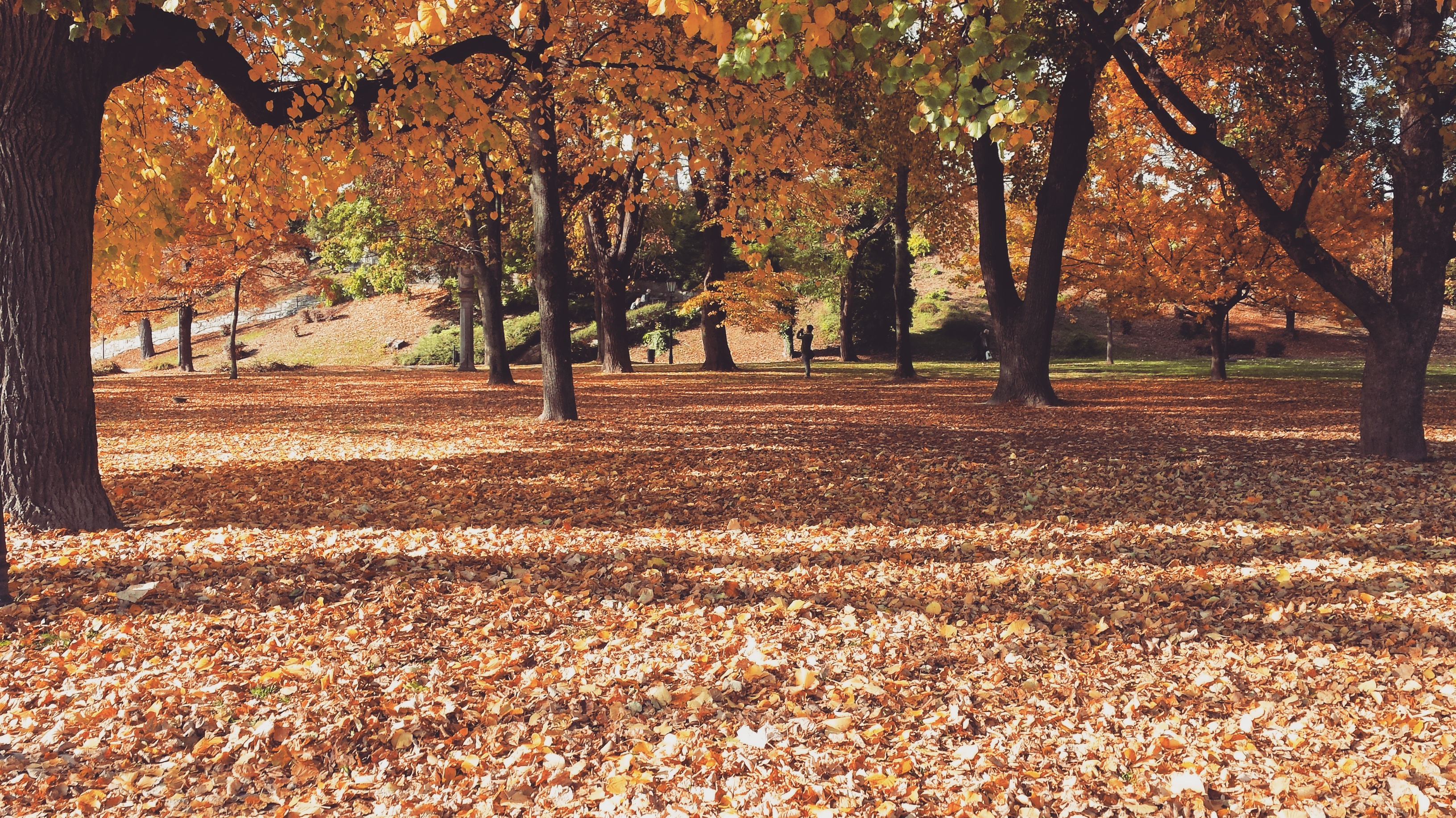 cosa vedere bratislava castello