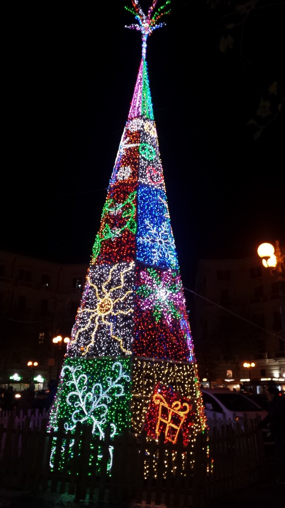 napoli albero vomero