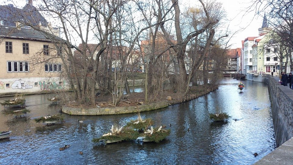 cosa-vedere-erfurt-3