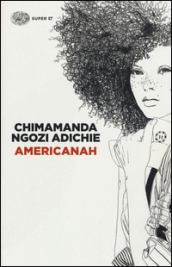 chimamanda ngozi adichie americanah