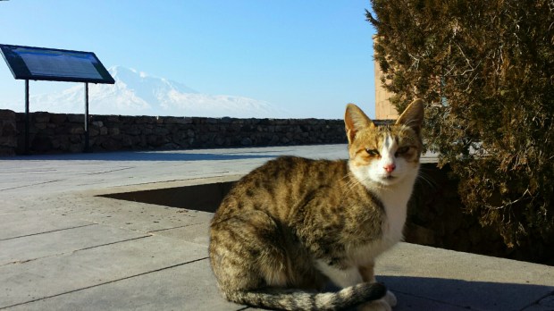 cosa vedere armenia khor virap