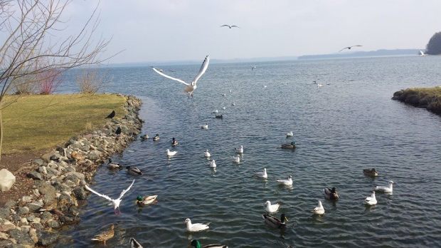 cosa vedere schwerin