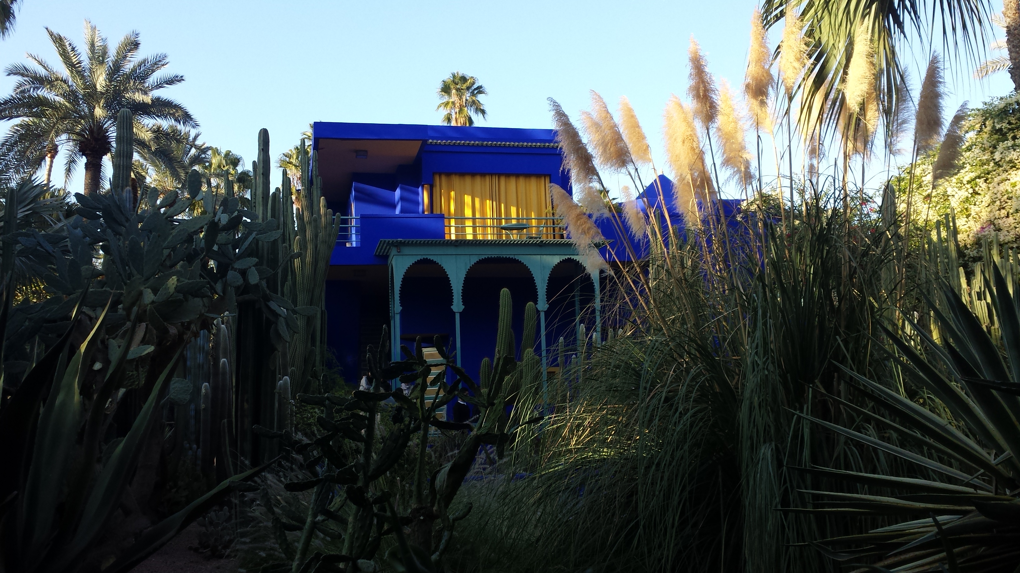 cosa fare marrakech jardin majorelle