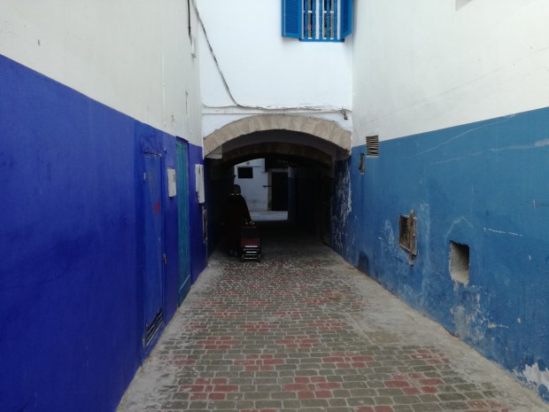 essaouira cosa vedere medina