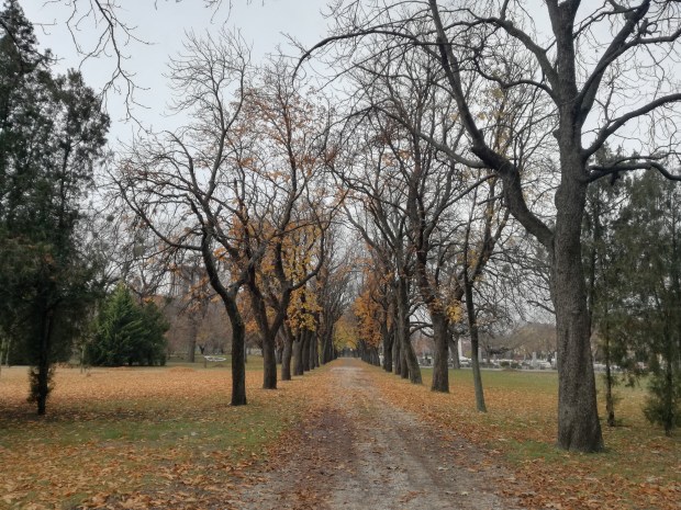cosa vedere a budapest cimitero kerepesi