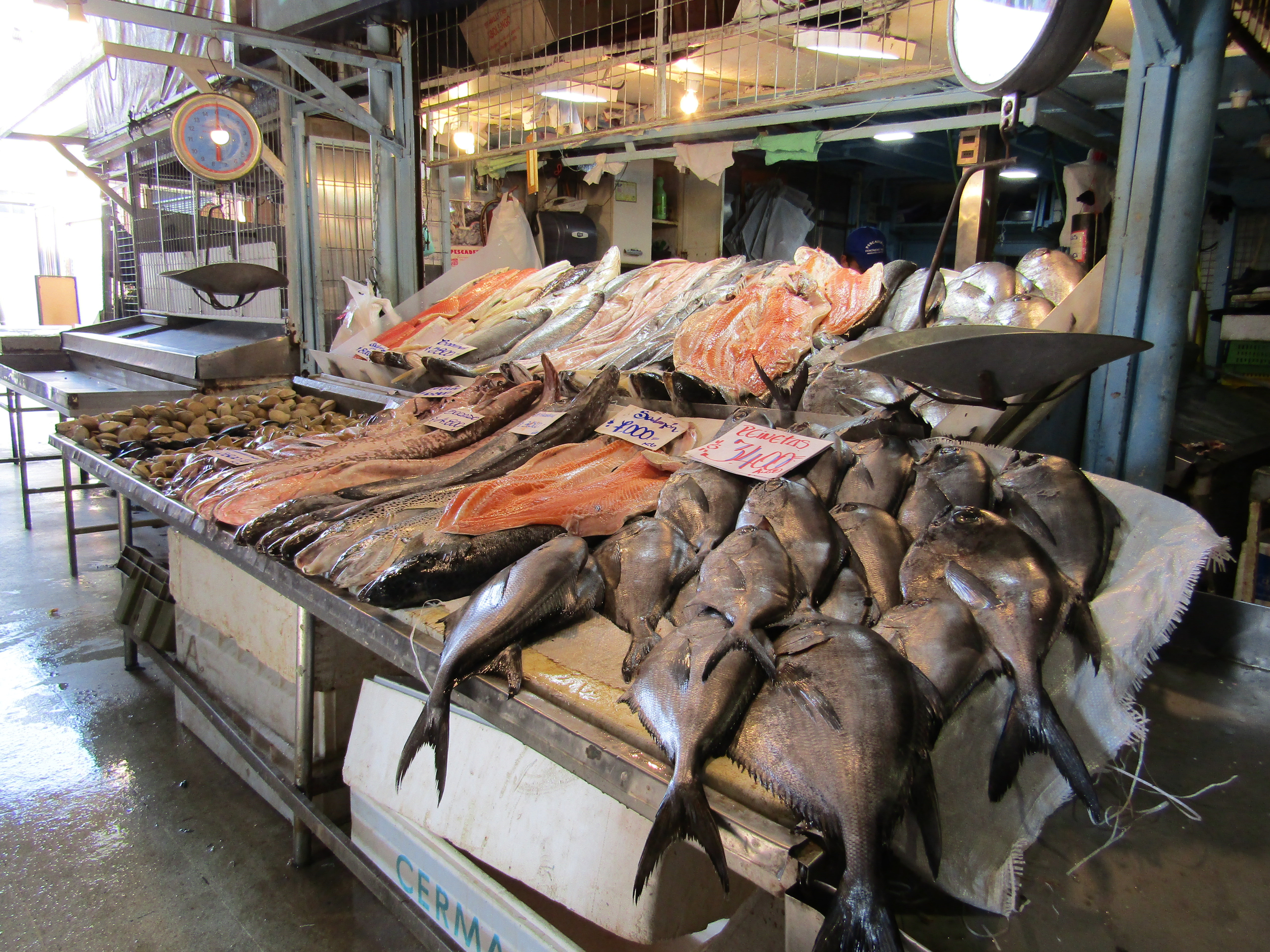 mercati santiago cile mercado central