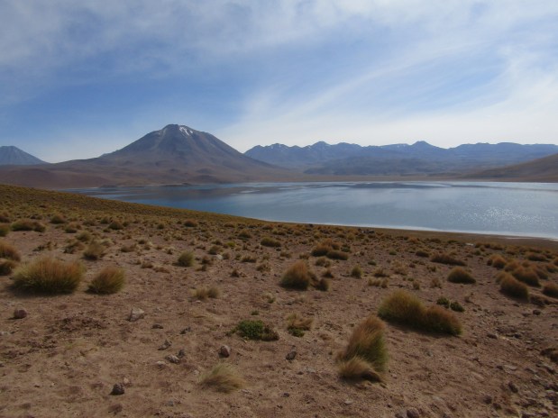cosa vedere san pedro de atacama laguna miscanti