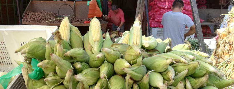 mercati santiago del cile la vega central