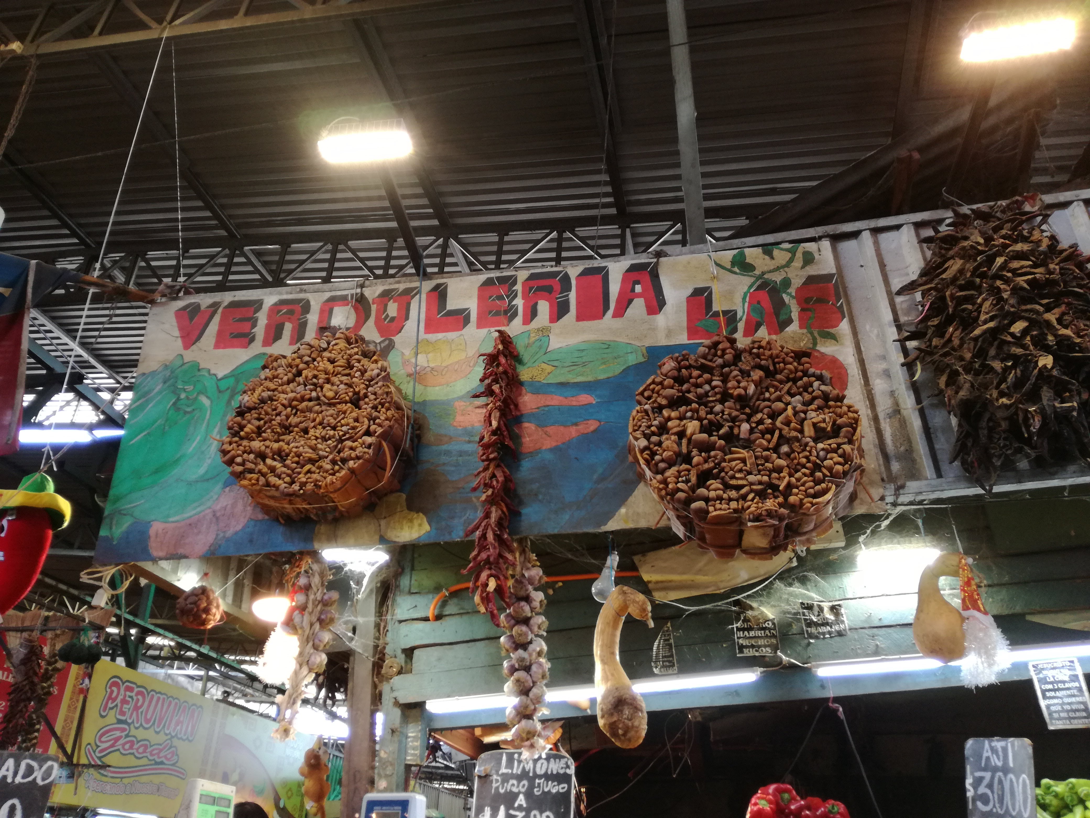 mercati santiago del cile vega central