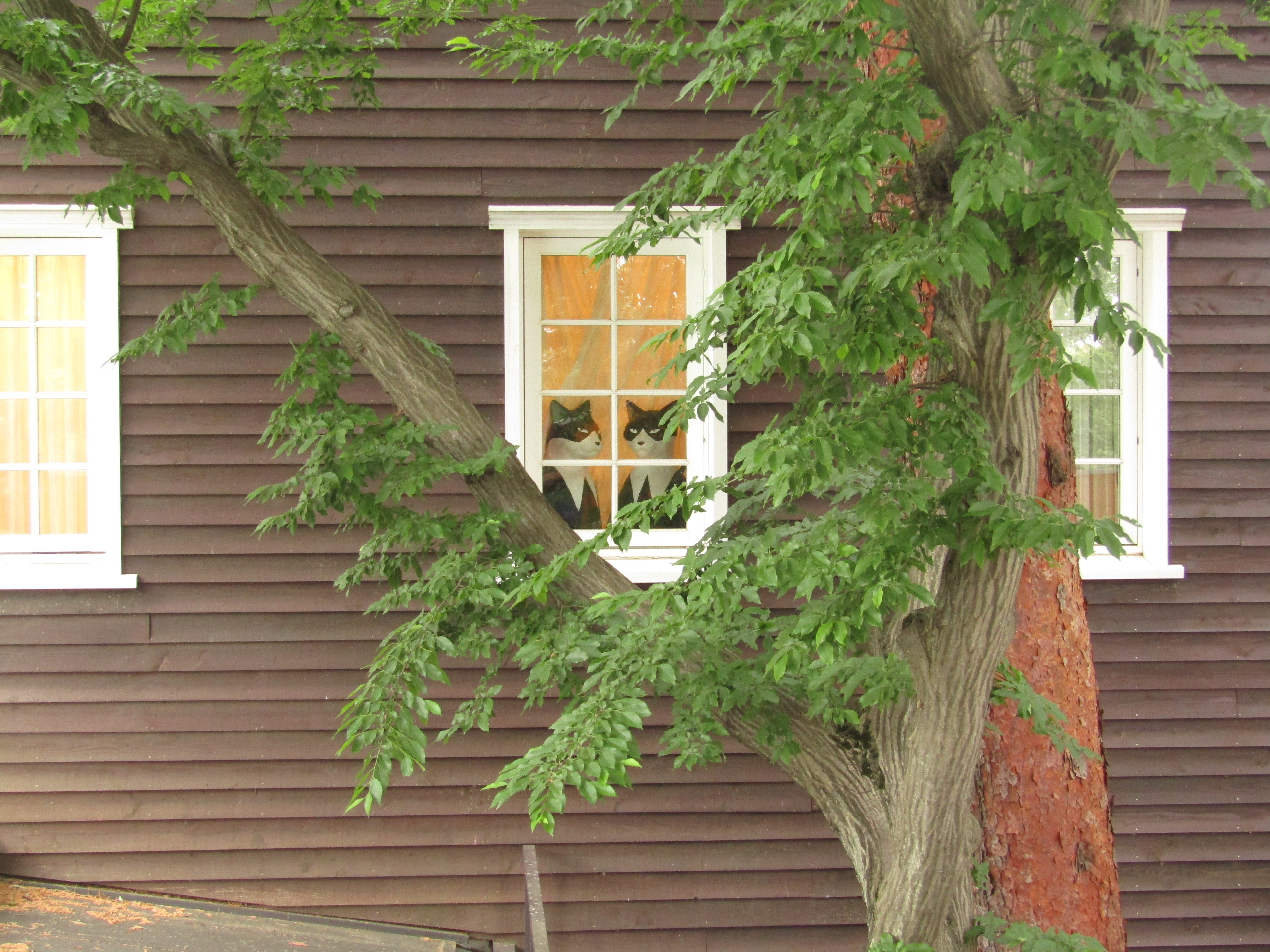 cosa vedere tokyo museo studio ghibli