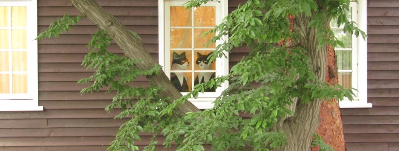 cosa vedere tokyo museo studio ghibli