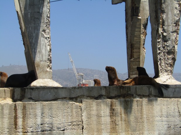 cosa vedere valparaiso porto