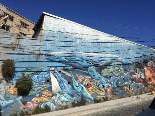 cosa vedere valparaiso street art