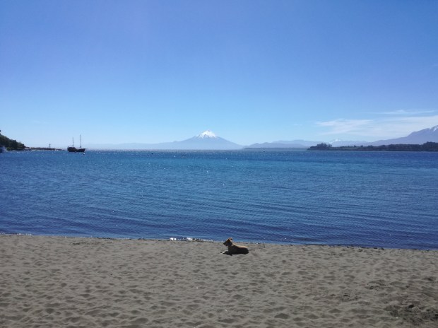 viaggiare bus chile puerto varas