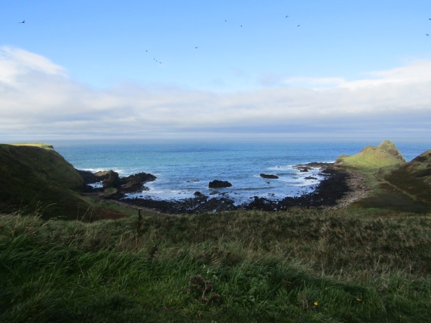 visitare giant's causeway irlanda del nord