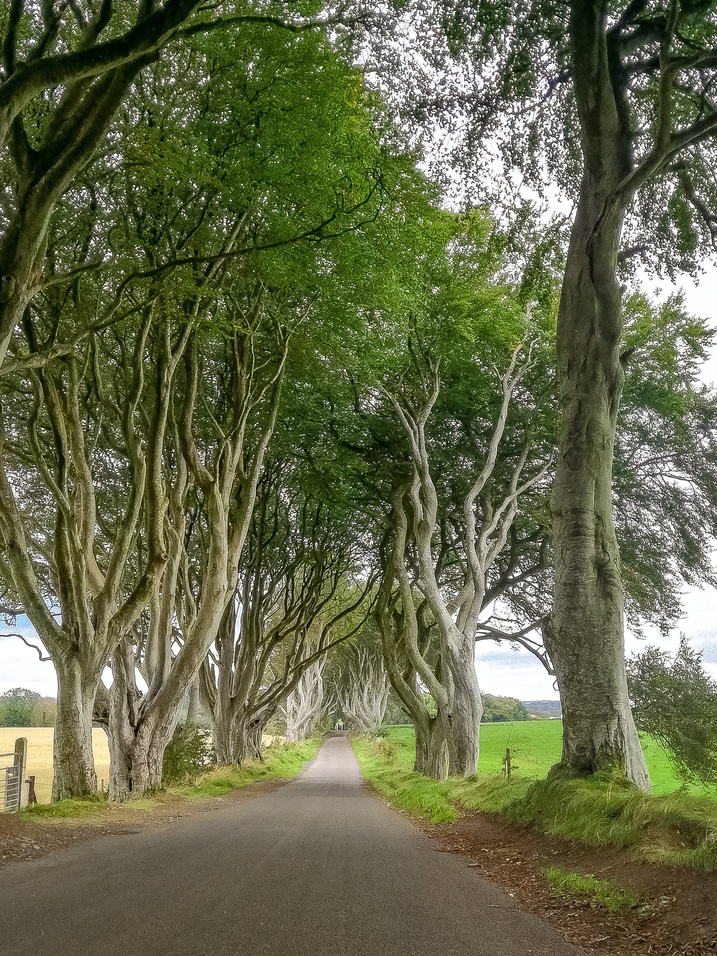 luoghi game of thrones irlanda del nord