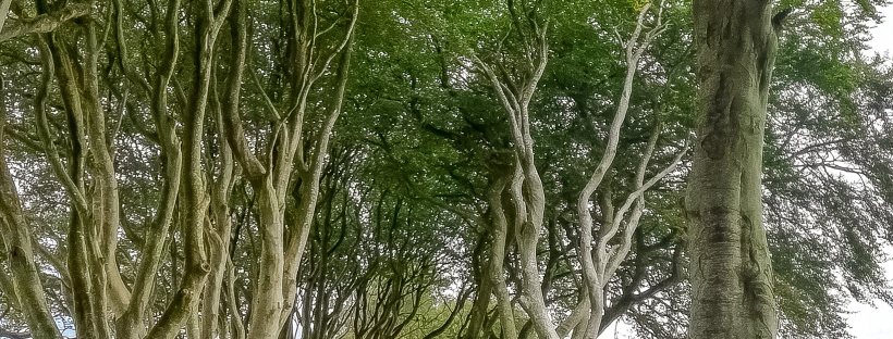 luoghi game of thrones irlanda del nord