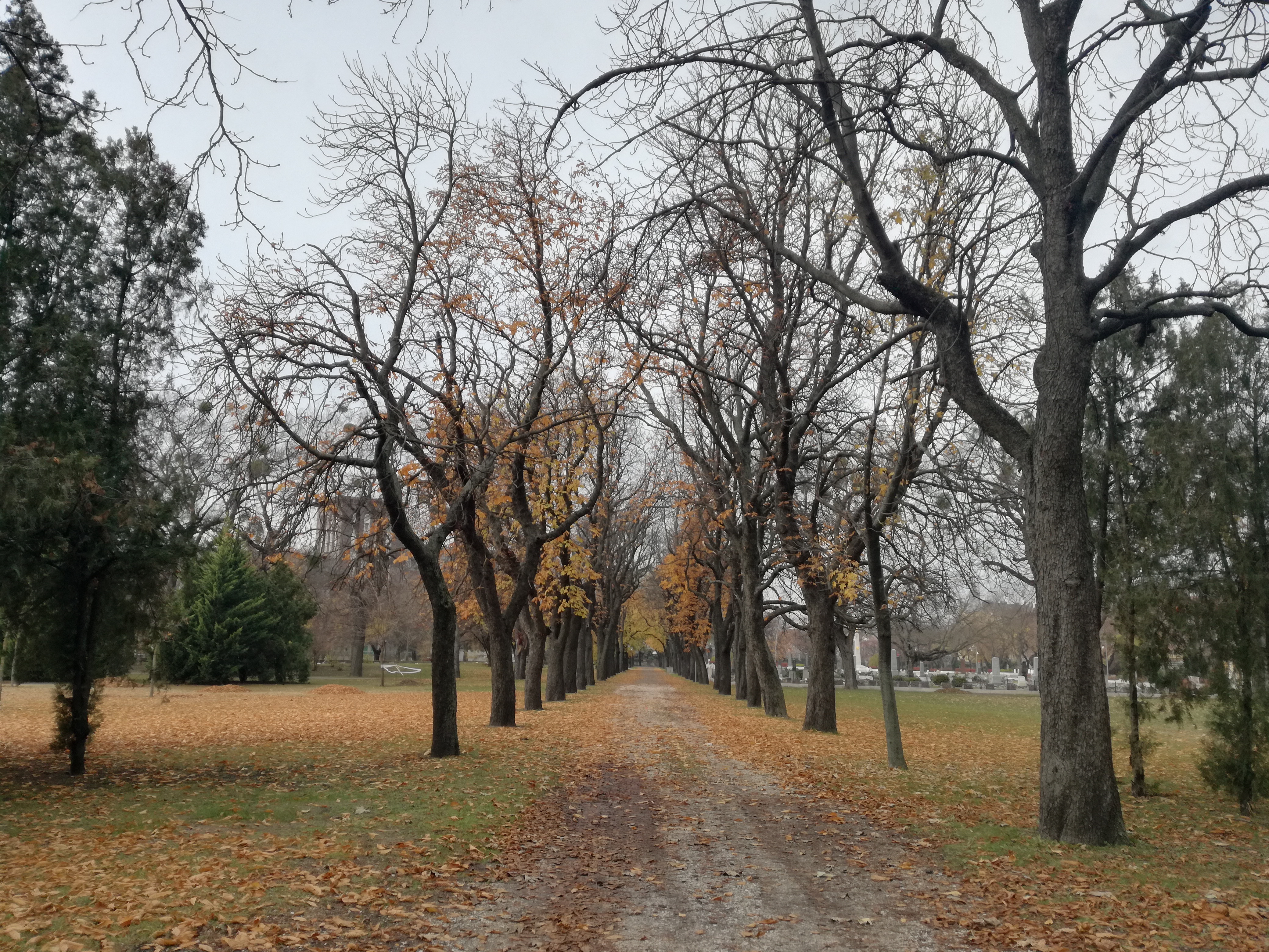 film girati a budapest