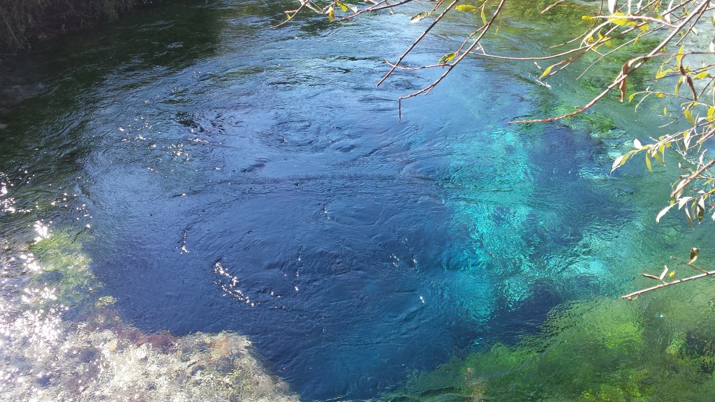 syri i kalter albania