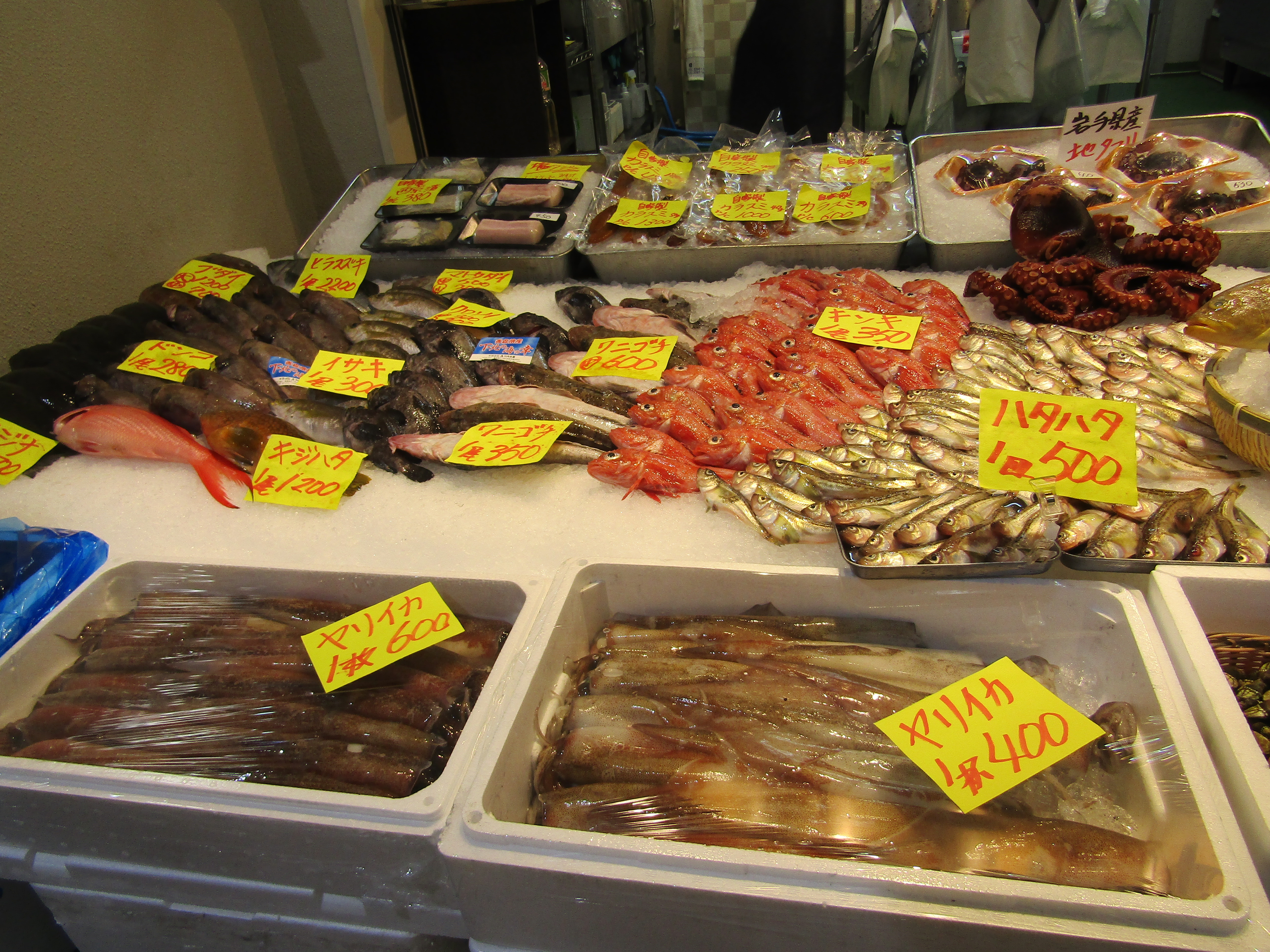 cosa fare gratis tokyo mercato tsukiji