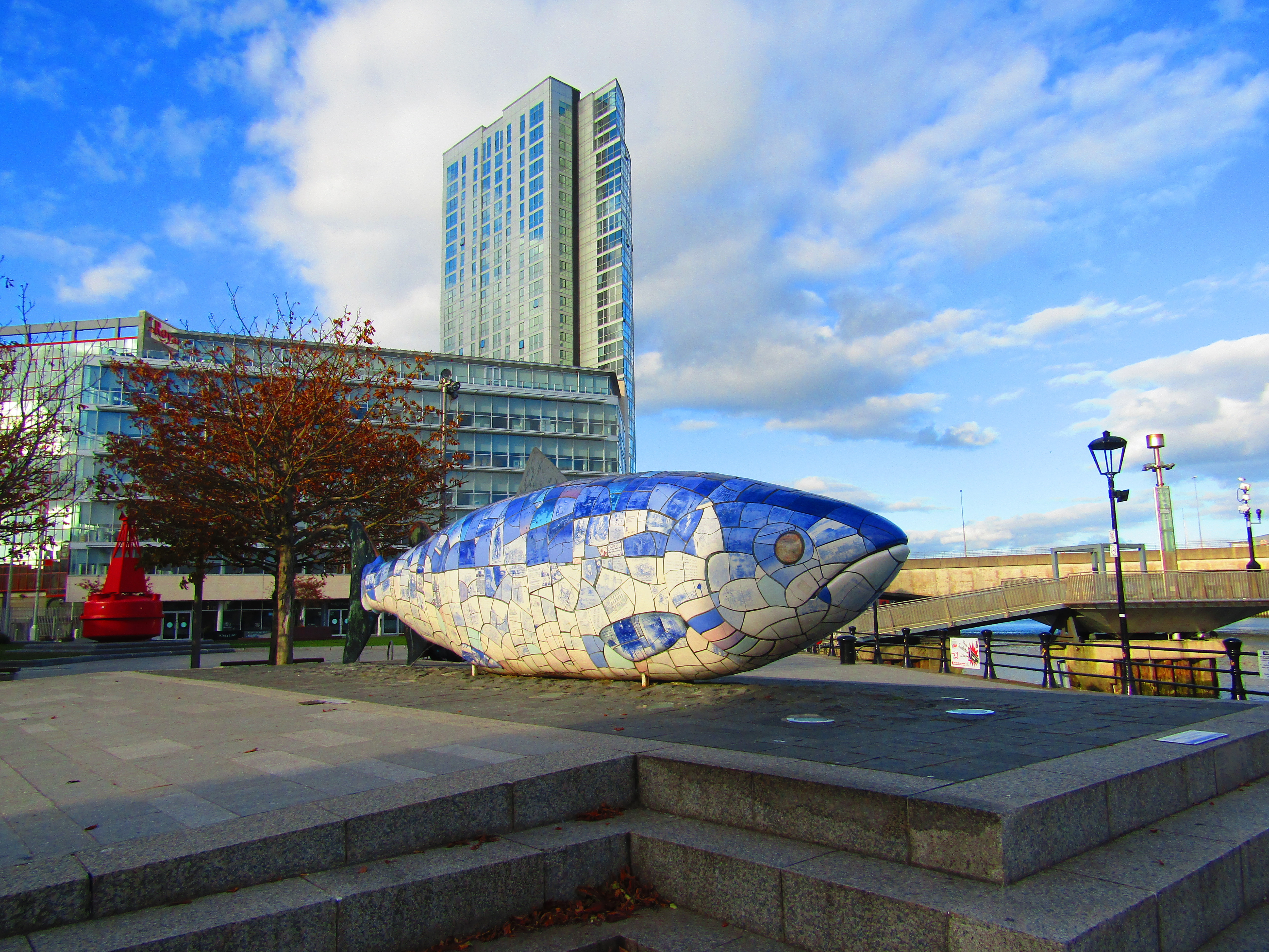 salmone della conoscenza belfast