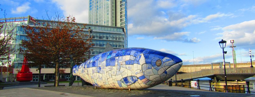 salmone della conoscenza belfast