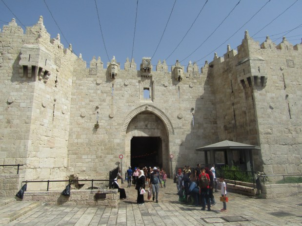 mezzi pubblici palestina