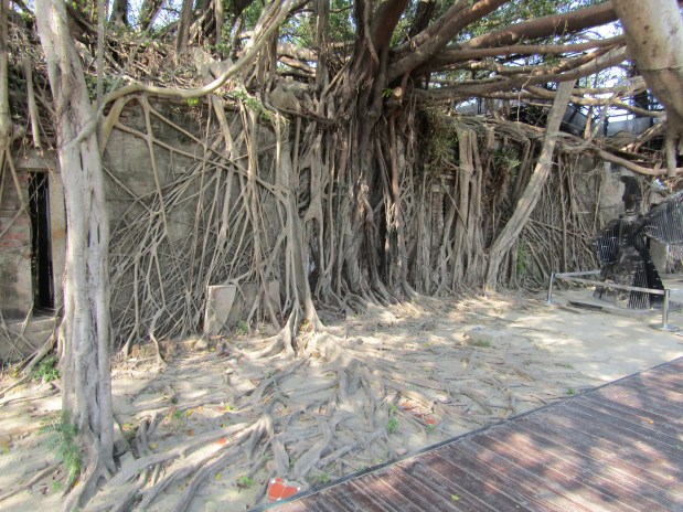 cosa vedere tainan anping tree house