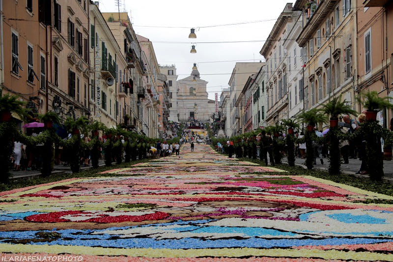 infiorata genzano castelli romani