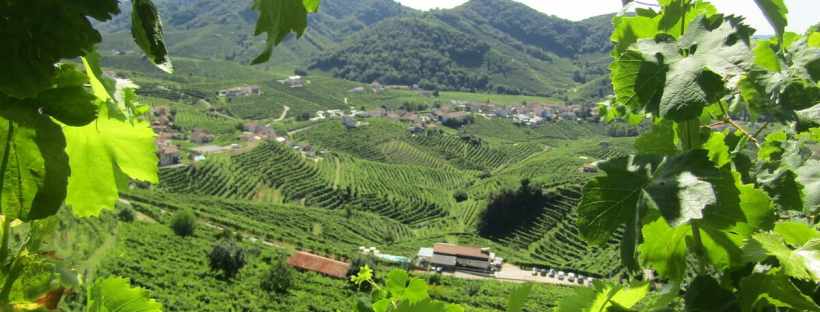 dintorni treviso cosa vedere