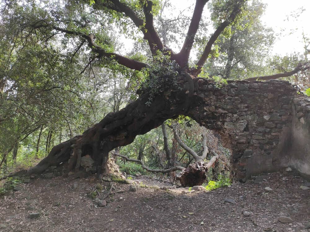 monumento naturale galeria antica